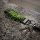 Tropical Palm Leaf Keychain Wristlet