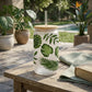 Tropical Monstera Palm Leaf 16oz Frosted Glass Can Set